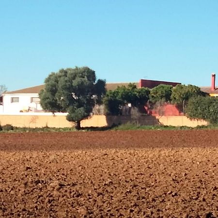 Apartamento Studio Andalou , Campagne , Chevaux , Piscine Commune Arcos de la Frontera Exterior foto