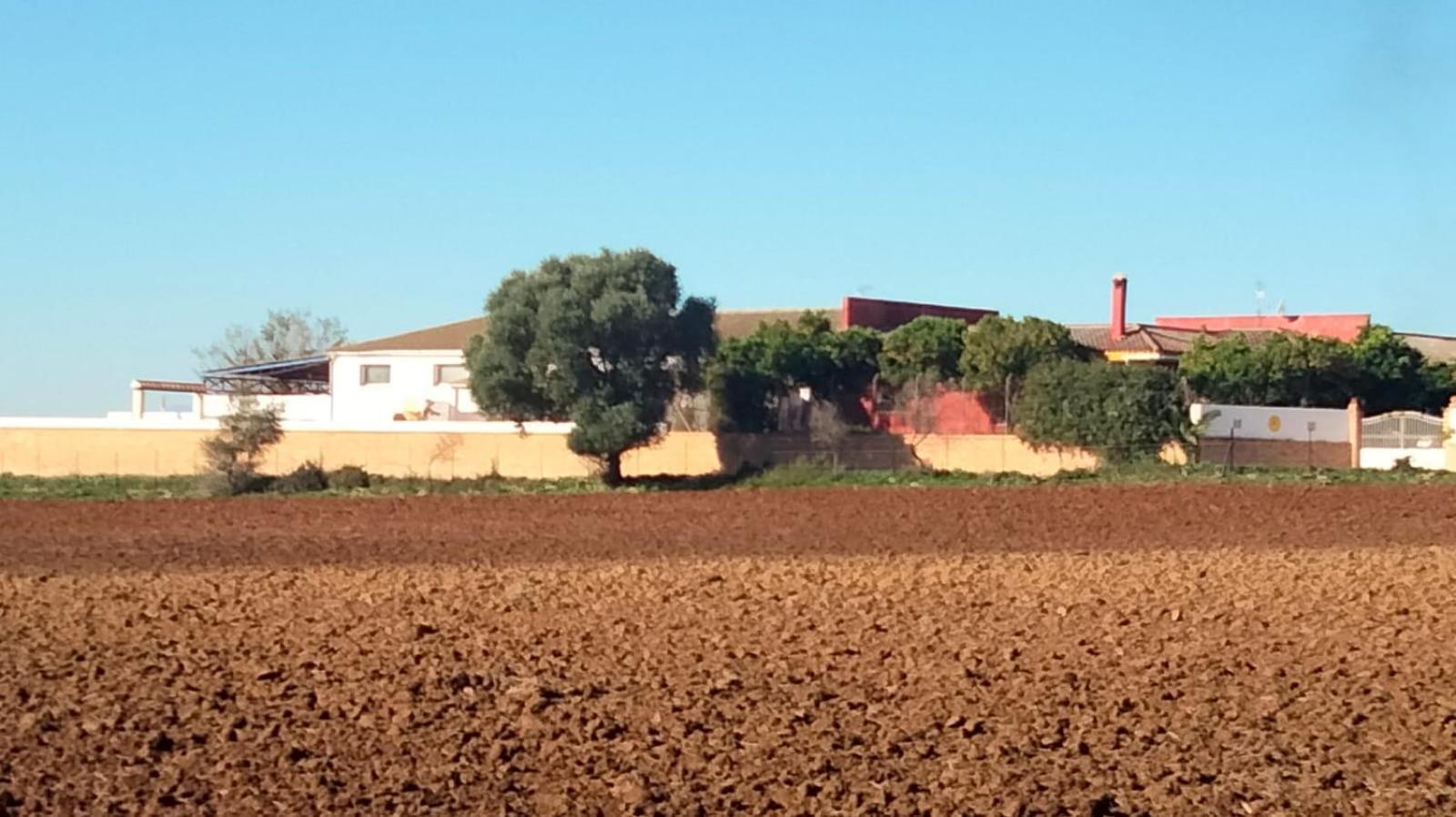 Apartamento Studio Andalou , Campagne , Chevaux , Piscine Commune Arcos de la Frontera Exterior foto